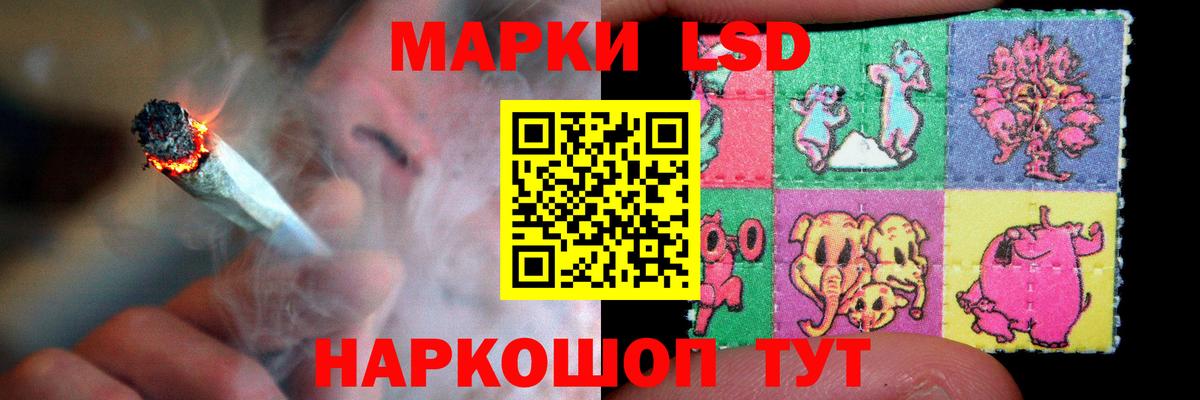 Гатчина  LSD-25 экстази ecstasy  Вход с VPN  LSD-25 экстази ecstasy 