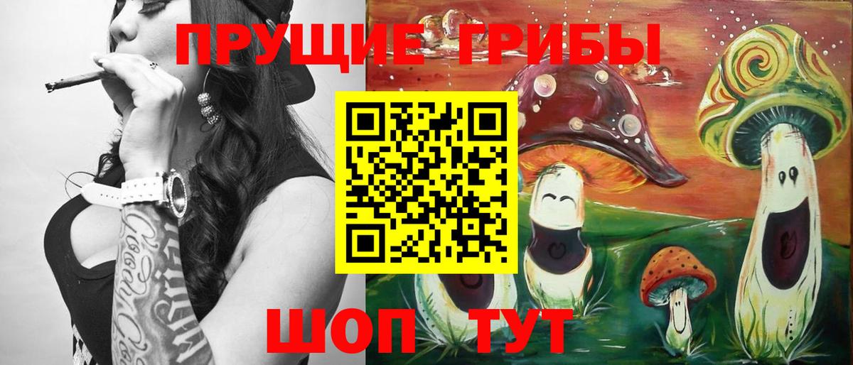 Псилоцибиновые грибы мухоморы Гатчина