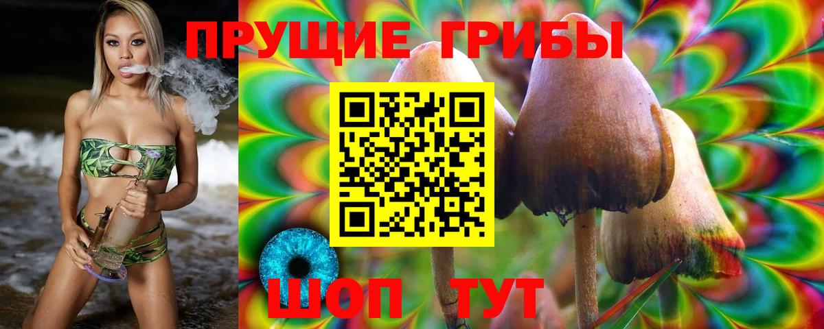 Псилоцибиновые грибы прущие грибы  Галлюциногенные грибы GOLDEN TEACHER  Гатчина  Вход с VPN 